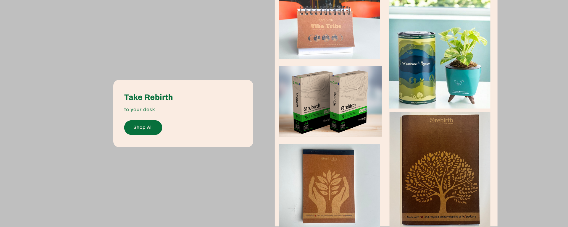 PadCare Ecosystem - From collection to recycled products